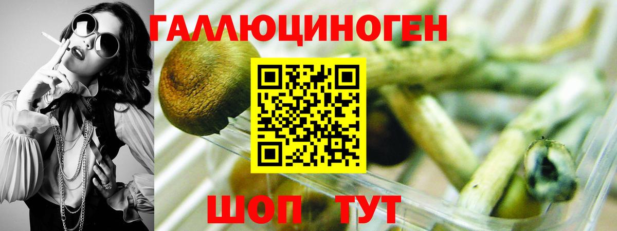 Славгород  Галлюциногенные грибы прущие грибы  Вход с VPN  где купить наркоту  Псилоцибиновые грибы Psilocybine cubensis 